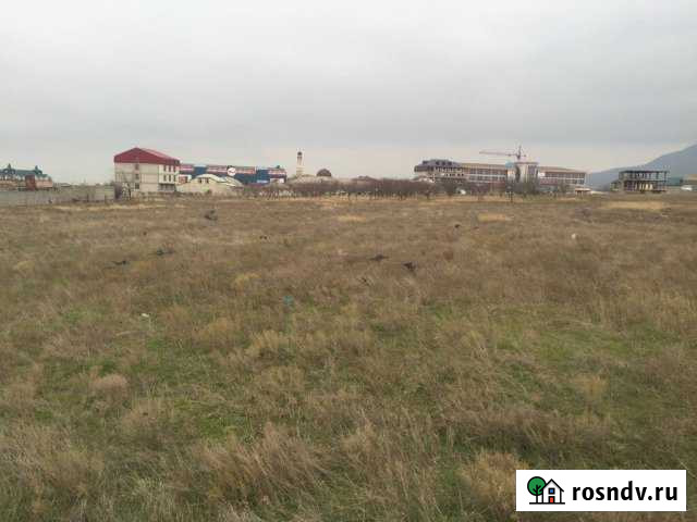 Участок СНТ, ДНП 300 сот. на продажу в Махачкале Махачкала - изображение 1