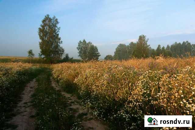 Участок СНТ, ДНП 500 сот. на продажу в Сосновоборске Красноярского края Сосновоборск - изображение 1