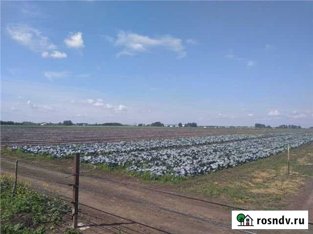 Участок СНТ, ДНП 2 сот. на продажу в Новотитаровской Новотитаровская - изображение 1