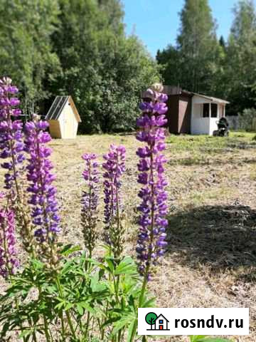 Дача 20 м² на участке 6 сот. на продажу в Вологде Вологда - изображение 1