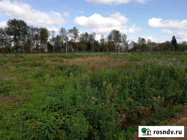 Участок ИЖС 10 сот. на продажу в Балакирево Балакирево - изображение 1