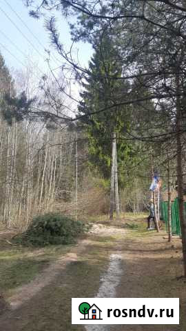 Участок СНТ, ДНП 10 сот. на продажу в Толмачево Ленинградской области Толмачево - изображение 1