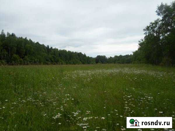 Участок СНТ, ДНП 340 сот. на продажу в Можайске Можайск - изображение 1