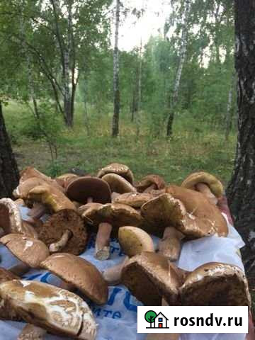 Участок ИЖС 15 сот. на продажу в Теплом Теплое - изображение 1