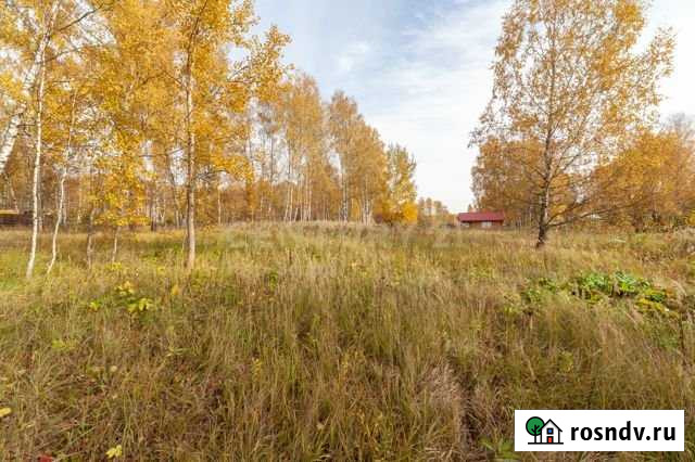 Участок СНТ, ДНП 24 сот. на продажу в Домодедово Домодедово - изображение 1