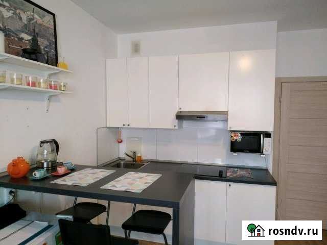 Квартира-студия, 25 м², 6/16 эт. в аренду посуточно в Кудрово Кудрово - изображение 1