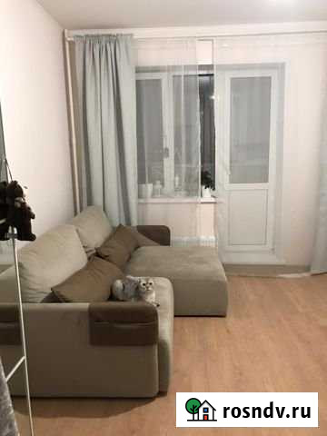 Квартира-студия, 24 м², 11/17 эт. в аренду на длительный срок в Видном Видное - изображение 1