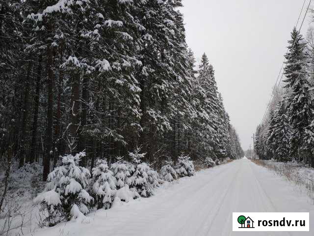 Участок СНТ, ДНП 8 сот. на продажу в Первомайском Ленинградской области Первомайское - изображение 1