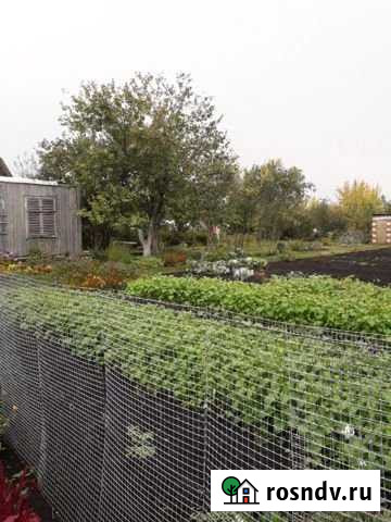 Дача 20 м² на участке 6 сот. на продажу в Чистополе Чистополь - изображение 1