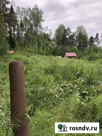 Участок СНТ, ДНП 6 сот. на продажу в Кузнечном Кузнечное - изображение 1