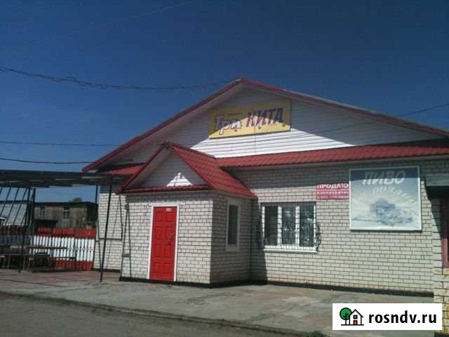 Торговое помещение, 220 кв.м. Усть-Чарышская Пристань - изображение 1