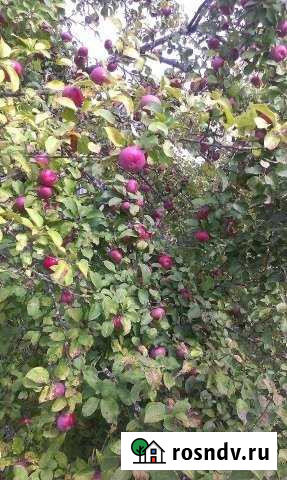 Участок СНТ, ДНП 8 сот. на продажу в Кольчугино Кольчугино - изображение 1