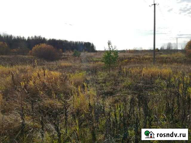 Участок СНТ, ДНП 247 сот. на продажу в Вырице Вырица - изображение 1