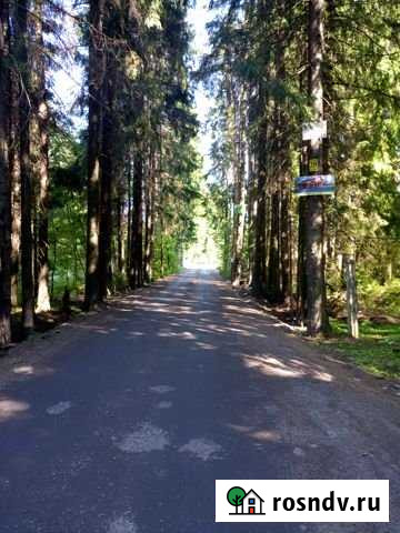 Участок ИЖС 11 сот. на продажу в Рощино Ленинградской области Рощино - изображение 1