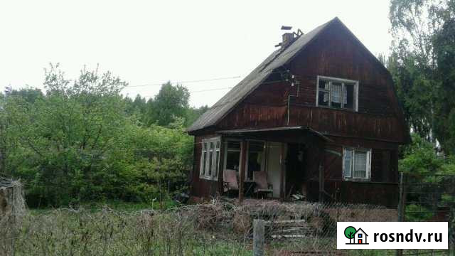 Участок СНТ, ДНП 600 сот. на продажу в Рогачево Рогачево - изображение 1