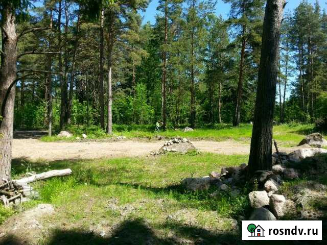 Участок ИЖС 20 сот. на продажу в Советском Ленинградской области Советский - изображение 1