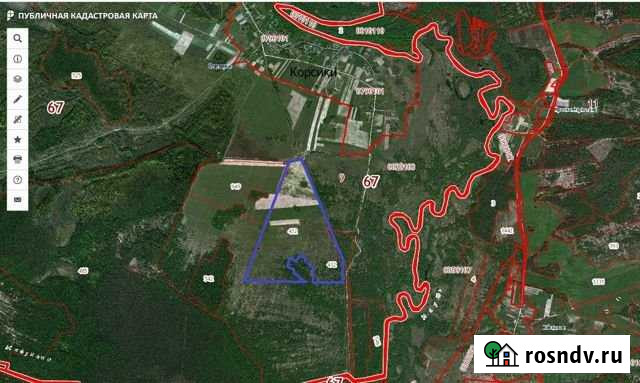 Участок СНТ, ДНП 8040 сот. на продажу в Клетне Клетня - изображение 1