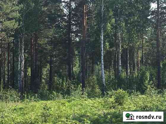 Участок ИЖС 30 сот. на продажу в Маркове Маркова