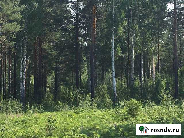 Участок ИЖС 30 сот. на продажу в Маркове Маркова - изображение 1