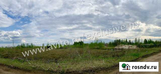 Участок СНТ, ДНП 23 сот. на продажу в Нижневартовске Нижневартовск - изображение 1