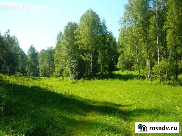 Участок СНТ, ДНП 8 сот. на продажу в Ростовке Ростовка - изображение 1