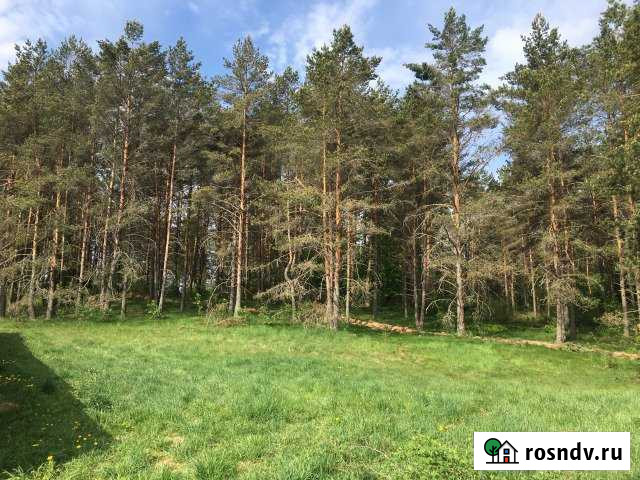 Участок ИЖС 11 сот. на продажу на Лугах Луга - изображение 1