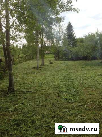 Участок СНТ, ДНП 15 сот. на продажу в Буревестнике Буревестник - изображение 1