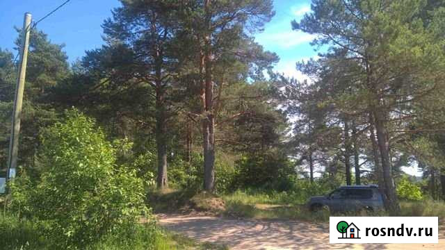 Участок СНТ, ДНП 40 сот. на продажу в Песочном Песочное - изображение 1