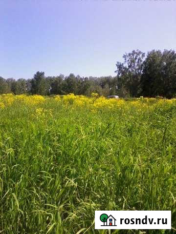 Дом 60 м² на участке 17 сот. на продажу в Сокуре Сокур - изображение 1