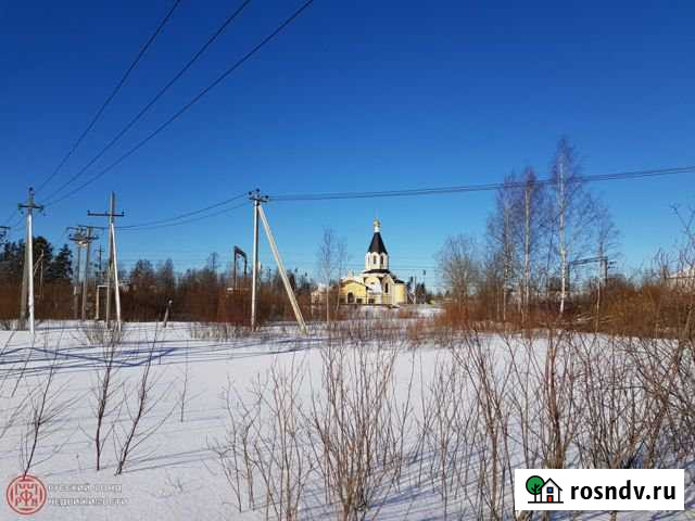 Участок СНТ, ДНП 10 сот. на продажу в Мге Мга - изображение 1