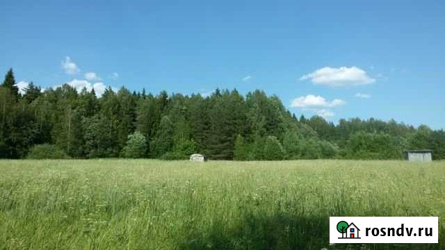 Участок СНТ, ДНП 10 сот. на продажу в Молочном Вологодской области Молочное - изображение 1