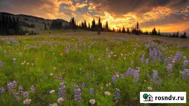 Дом 30 м² на участке 30 сот. на продажу в Смоленске Смоленск - изображение 1