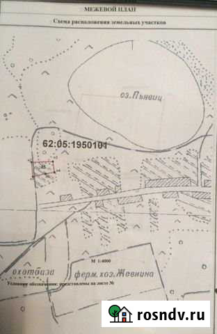 Участок ИЖС 25 сот. на продажу в Туме Тума - изображение 1