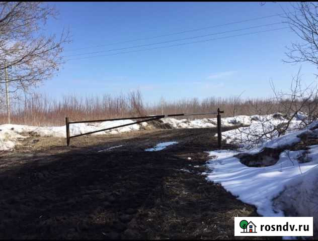 Участок СНТ, ДНП 1100 сот. на продажу в Новом Буяне Новый Буян - изображение 1