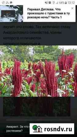 Участок СНТ, ДНП 420000 сот. на продажу в Полетаево Полетаево
