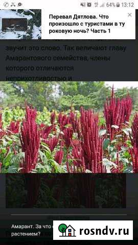 Участок СНТ, ДНП 420000 сот. на продажу в Полетаево Полетаево - изображение 1