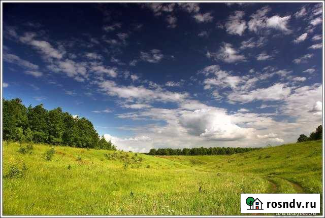 Участок СНТ, ДНП 8100 сот. на продажу в Называевске Называевск - изображение 1