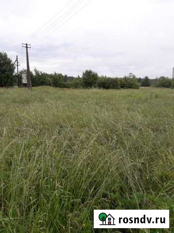 Участок СНТ, ДНП 32 сот. на продажу в Ивангороде Ивангород - изображение 1