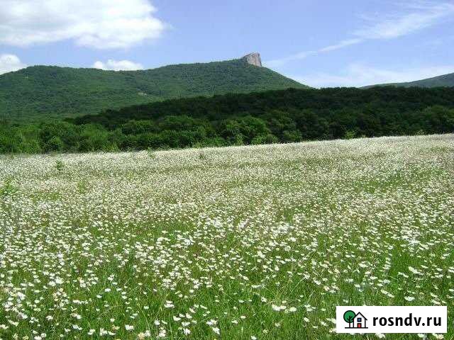 Участок СНТ, ДНП 290 сот. на продажу в Морском Морское - изображение 1