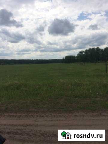 Участок ИЖС 21 сот. на продажу в Ордынском Ордынское - изображение 1