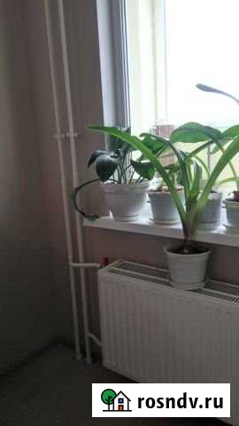 Квартира-студия, 23 м², 9/11 эт. на продажу в Буграх Бугры - изображение 1