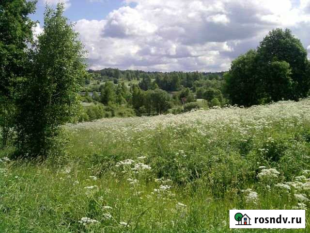 Участок ИЖС 50 сот. на продажу в Валдае Валдай - изображение 1