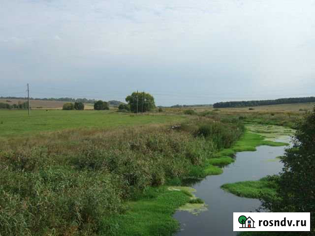 Участок СНТ, ДНП 15480 сот. на продажу в Бородинском Бородинский - изображение 1