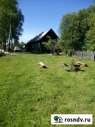 Дом 50 м² на участке 40 сот. в аренду посуточно в Пено Пено - изображение 1