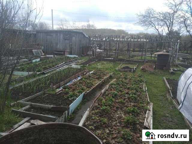 Дача 22 м² на участке 5 сот. на продажу в Ярославле Ярославль - изображение 1