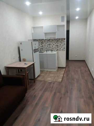 Квартира-студия, 26 м², 7/16 эт. в аренду на длительный срок в Краснодаре Краснодар - изображение 1