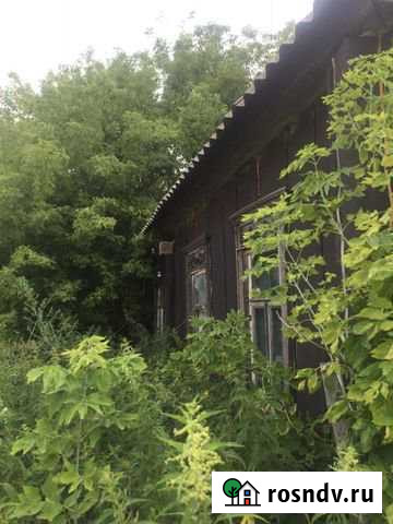 Дом 53 м² на участке 43 сот. на продажу в Репьевке Репьевка - изображение 1