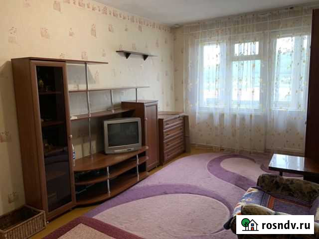 1-комнатная квартира, 31 м², 5/5 эт. в аренду на длительный срок в Мурманске Мурманск - изображение 1