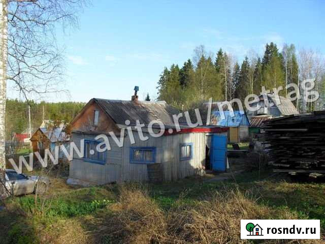 Коттедж 24 м² на участке 10 сот. на продажу в Петрозаводске Петрозаводск - изображение 1
