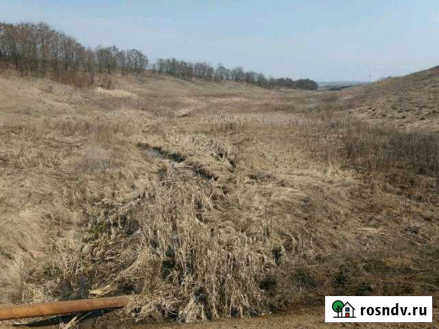 Участок СНТ, ДНП 470 сот. на продажу в Ивне Ивня - изображение 1